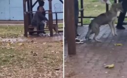 Adana’da kaydedilen görüntü “Yok artık” dedirtti