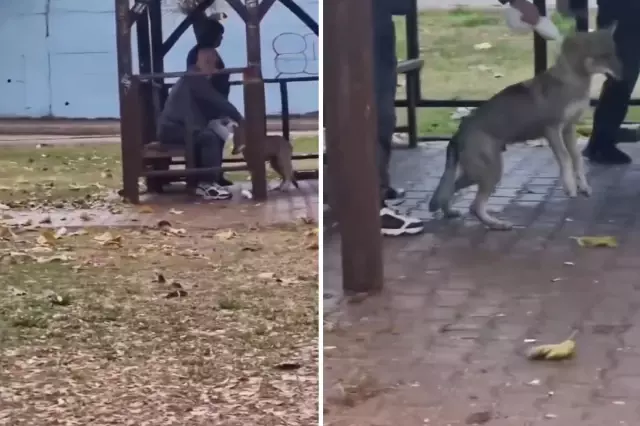 adana da kaydedilen goruntu yok artik dedirtti 19468412 2030 o