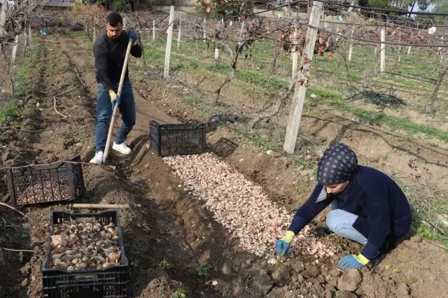 adanali girisimci yetistirdigi ak zambak 19421348 4721 o