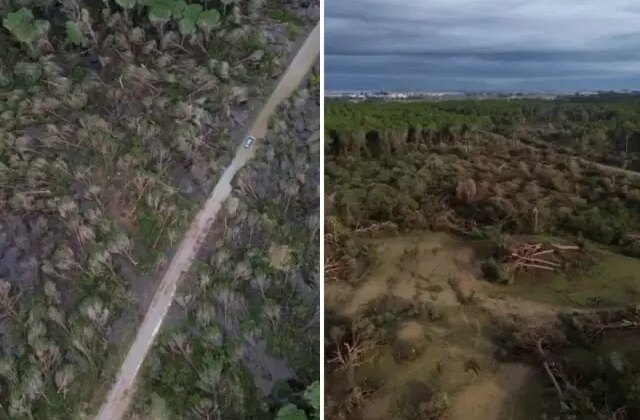 Antalya’da hortumun zarar verdiği ormanlık alan havadan görüntülendi