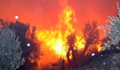 Antalya’da evleri tehdit eden orman yangını kontrol altına alındı