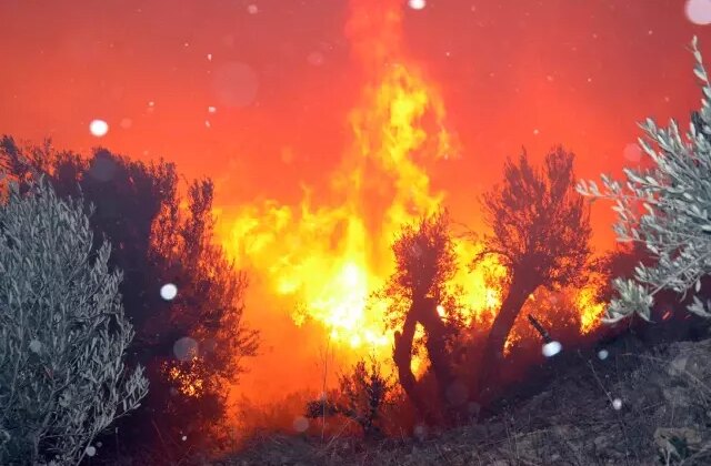Antalya’da evleri tehdit eden orman yangını kontrol altına alındı