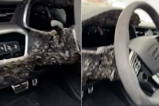 arabanin icine sakin birakmayin dondu patladi 19435940 9091 o