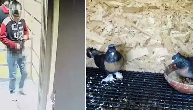 Asansöre idrarını yapıp kuş çalan şüpheli lise öğrencisi çıktı