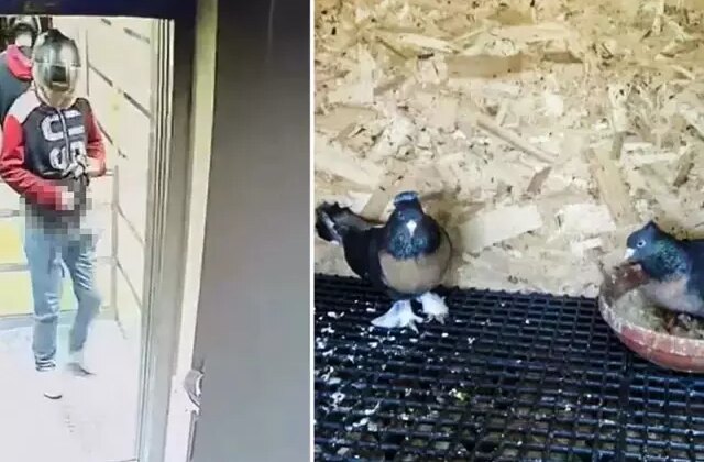 Asansöre idrarını yapıp kuş çalan şüpheli lise öğrencisi çıktı