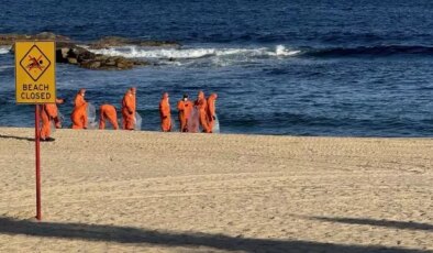 Avustralya’nın Sydney kentinde köpek balıkları 2 çocuğa saldırdı