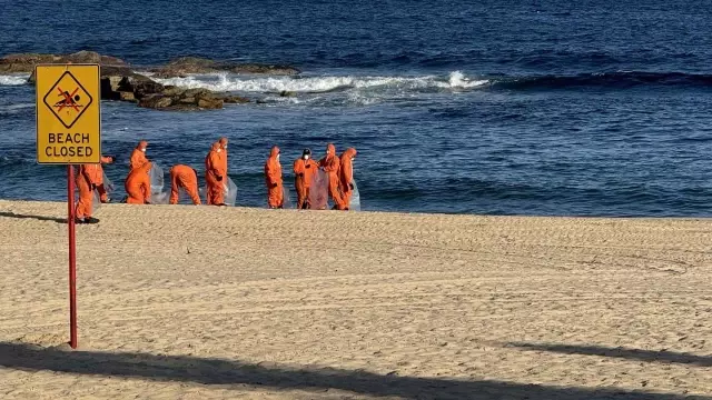 Avustralya’nın Sydney kentinde köpek balıkları 2 çocuğa saldırdı