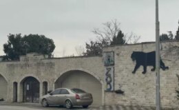 Bir devrin sonu! Darıca Hayvanat Bahçesi kapatıldı