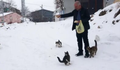 Bu köyde kışın sadece muhtar yaşıyor! Tek nedeni var