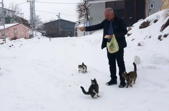 Bu köyde kışın sadece muhtar yaşıyor! Tek nedeni var