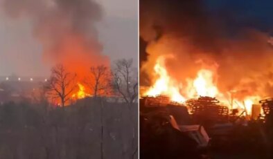 Bursa’da ahşap palet fabrikasında yangın paniği