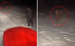 Bütün köyü seferber eden olay: Gece yarısı traktörlerle peşine düştüler