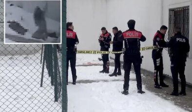 Cam silerken 3’üncü kattan düşen öğretmen yaşamını yitirdi