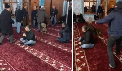 Camiye giren sokak köpeği, cemaatin arasında dolaştı