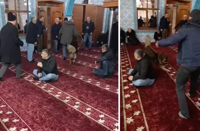 Camiye giren sokak köpeği, cemaatin arasında dolaştı