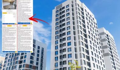 Ev sahibinin kiracıdan istediklerine bakın! Bulaşıktan teftişe kadar sayfalarca şart koştu