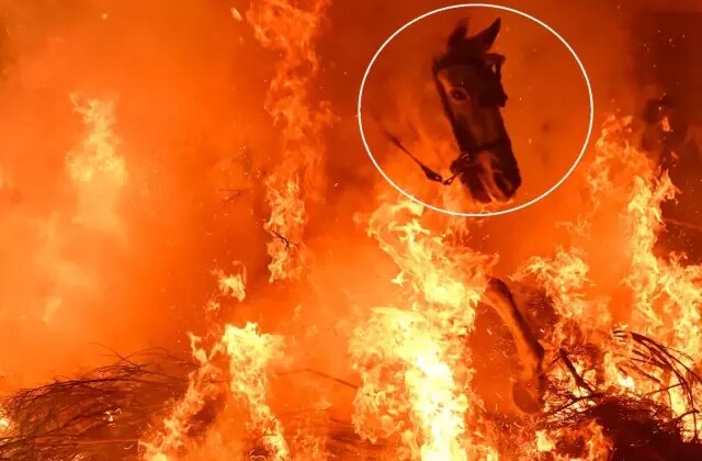 Film sahnesi değil gerçek: Atlar, alevlerin arasından böyle geçti