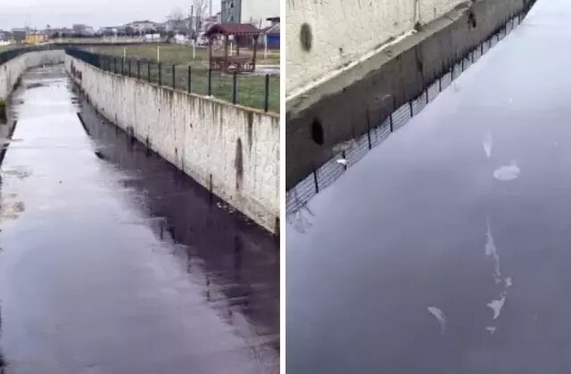 Görenler inanamadı! Dere siyah akmaya başladı