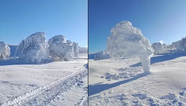 Görüntüler İstanbul’un yanı başından