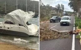 Gözde tatil beldemizi fırtına vurdu! Tekne karaya oturdu, ağaçlar devrildi