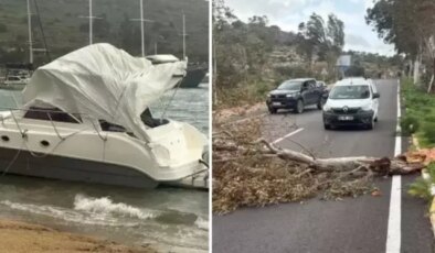 Gözde tatil beldemizi fırtına vurdu! Tekne karaya oturdu, ağaçlar devrildi