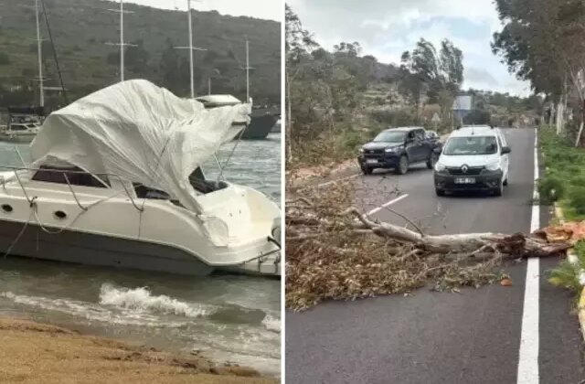 Gözde tatil beldemizi fırtına vurdu! Tekne karaya oturdu, ağaçlar devrildi