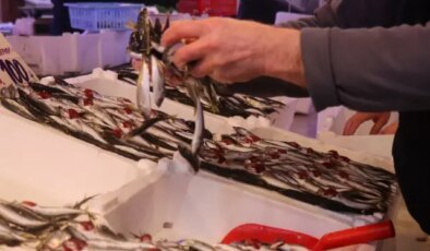 Hamsinin yokluğunu kapattı, fiyatı dibi gördü! Tezgahın en ucuzu