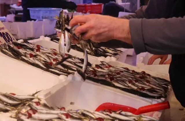 Hamsinin yokluğunu kapattı, fiyatı dibi gördü! Tezgahın en ucuzu