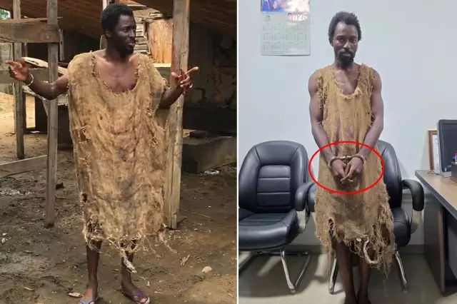 infial yaratan tufan kehaneti ganali ebo noah 19414459 6688 o