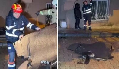 İstanbul’u fırtına vurdu! Çatılar uçtu