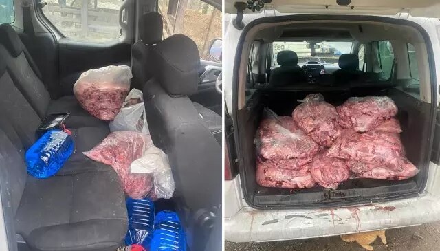 Jandarmanın durdurduğu araçtan 450 kilo bozulmuş et çıktı