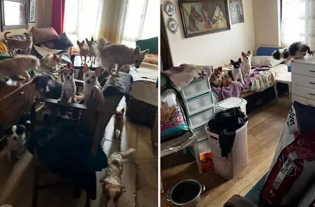 Kapı açılınca karşılaşılan manzara şoke etti