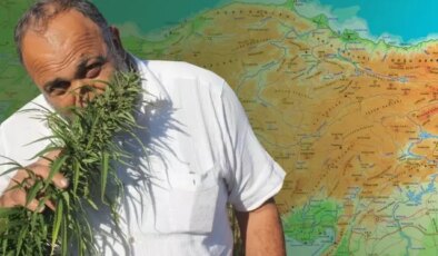 Karar Resmi Gazete’de: 21 ilde kenevir üretimine onay çıktı