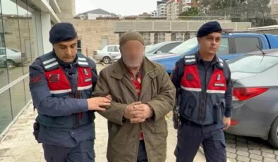 Kavgalar kanlı bitti, 71 yaşındaki ağabeyden kardeşine feci dayak