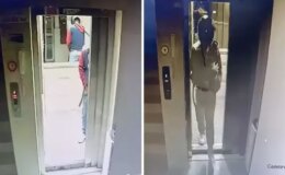 Kaskla apartmana girdi, asansöre idrarını yapıp damdaki kuşları çaldı