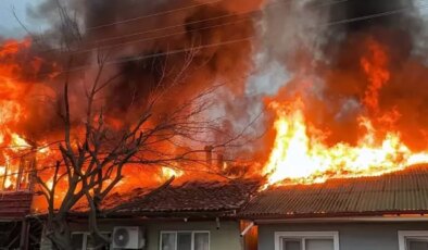 Kediler üşümesin diye yakılan soba faciaya dönüştü: İki ev küle döndü