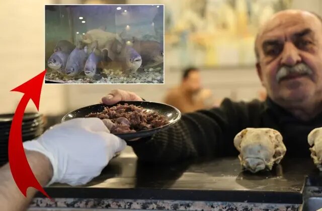 Kele paçacının tüyler ürperten hobisi! 12 yıldır elleriyle besliyor