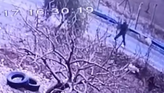 Kendisine doğru koşan köpeği tüfekle vurup öldürdü