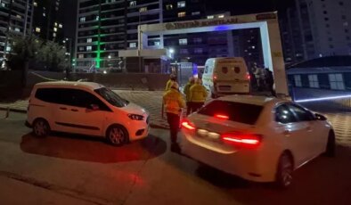 Kız kardeşini öldürdü, annesini ağır yaralayıp intihar etti