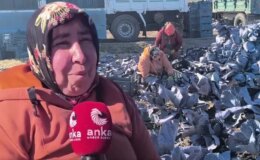 Lahana tarlasında çalışan işçinin sözleri yürekleri dağladı