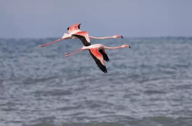 Mumbai değil Kastamonu! Vatandaşlar hemen telefona sarıldı