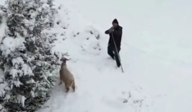 Ankaralı çoban, kendisine yaklaşan drona tüfek doğrulttu