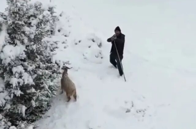 Ankaralı çoban, kendisine yaklaşan drona tüfek doğrulttu