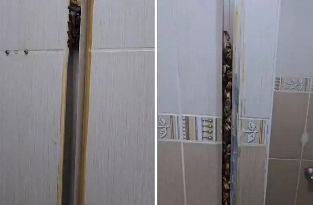 Öğrencilere kiraya verdiği eve giren kadın, gördüğü manzara karşısında sinir krizi geçirdi