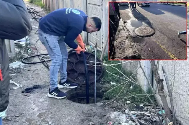 rogarsa bebek gordum dedi ortalik karisti 19440451 7486 o