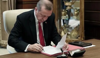 Roman vatandaşlar için yeni eylem planı devrede, Cumhurbaşkanı Erdoğan imzaladı