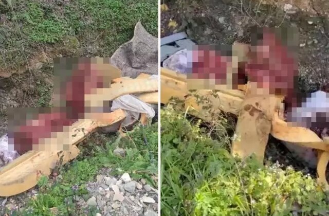 Sakarya’da çalılık alana hayvan kemiği attığı tespit edilen 2 şüpheli yakalandı