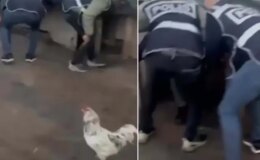 Saklandığı kümeste öksürünce yakayı ele verdi