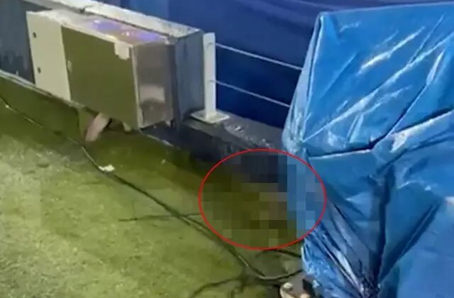 Şampiyonlar Ligi maçı öncesi taraftarı isyan ettiren görüntü