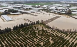 ‘Sarı kod’la uyarılan Antalya’da tarım alanları su altında kaldı